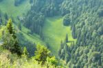 2014-07-05_Laengental-N-Hochweg (632). JPG